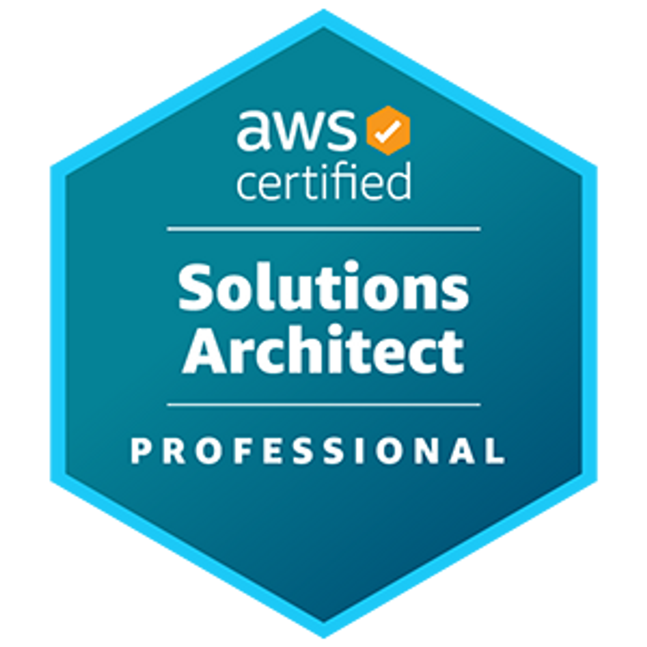 AWS SAP Logo
